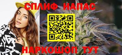 стафф Нальчик