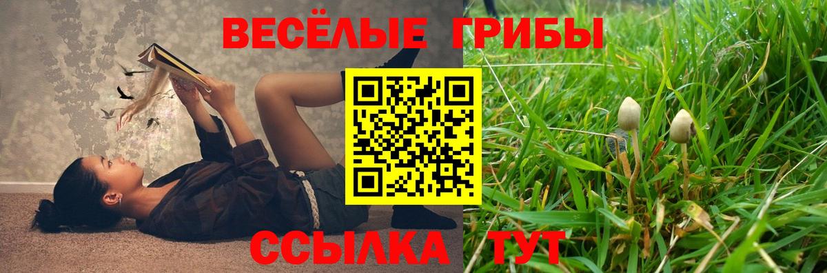 Галлюциногенные грибы прущие грибы Ханты-Мансийск